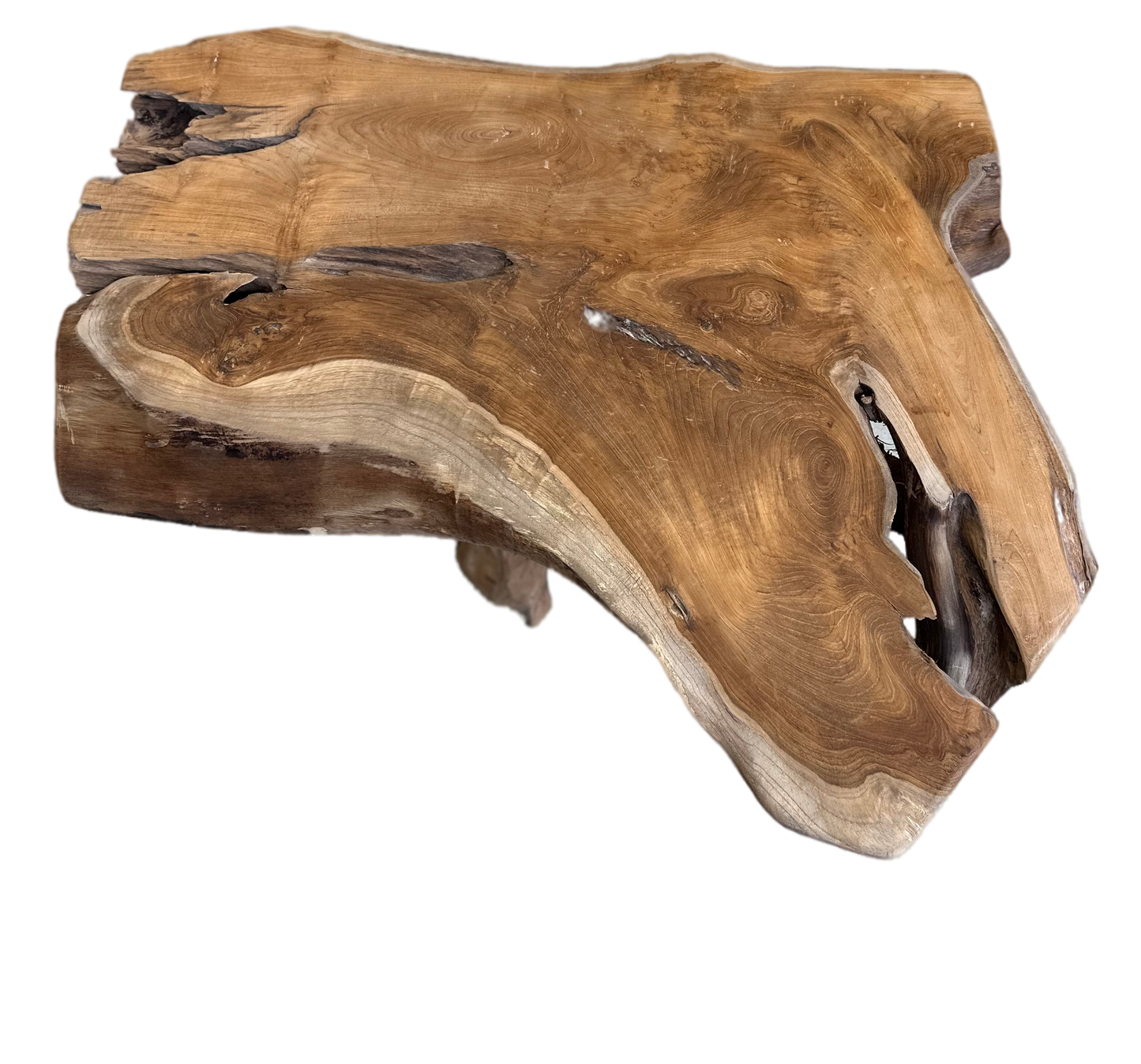 Table Basse en Souche de Bois - Pièce Authentique au Design Naturel