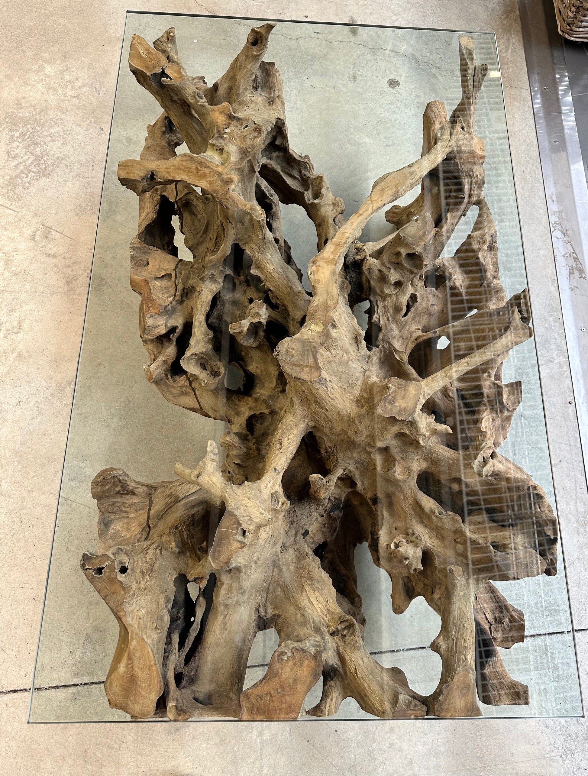 Table Basse Design en Racine de Bois et Plateau Verre