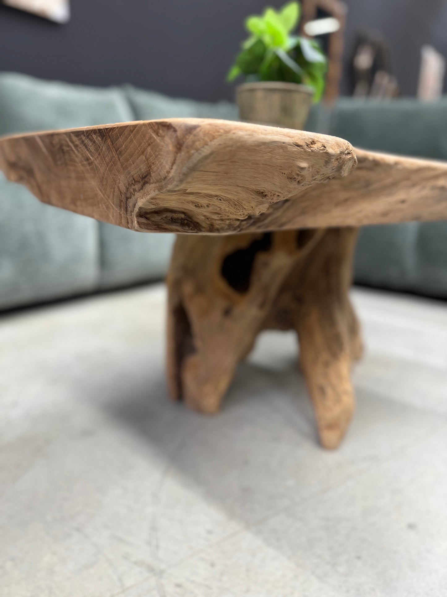 Table Basse en Souche de Bois - Pièce Authentique au Design Naturel