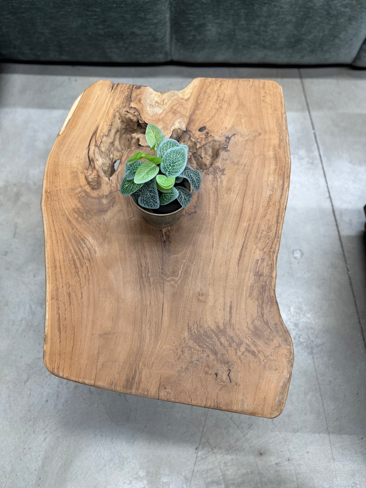 Table Basse en Souche de Bois - Pièce Authentique au Design Naturel