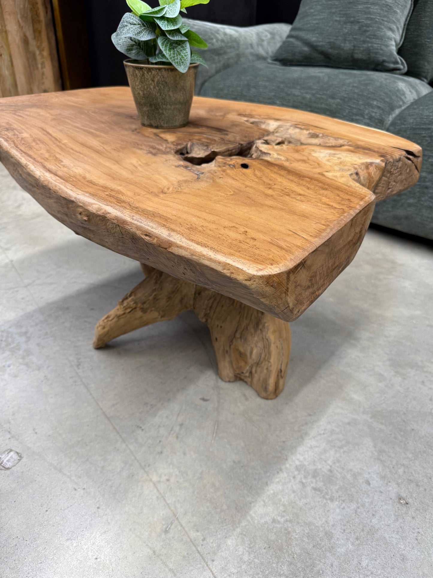Table Basse en Souche de Bois - Pièce Authentique au Design Naturel