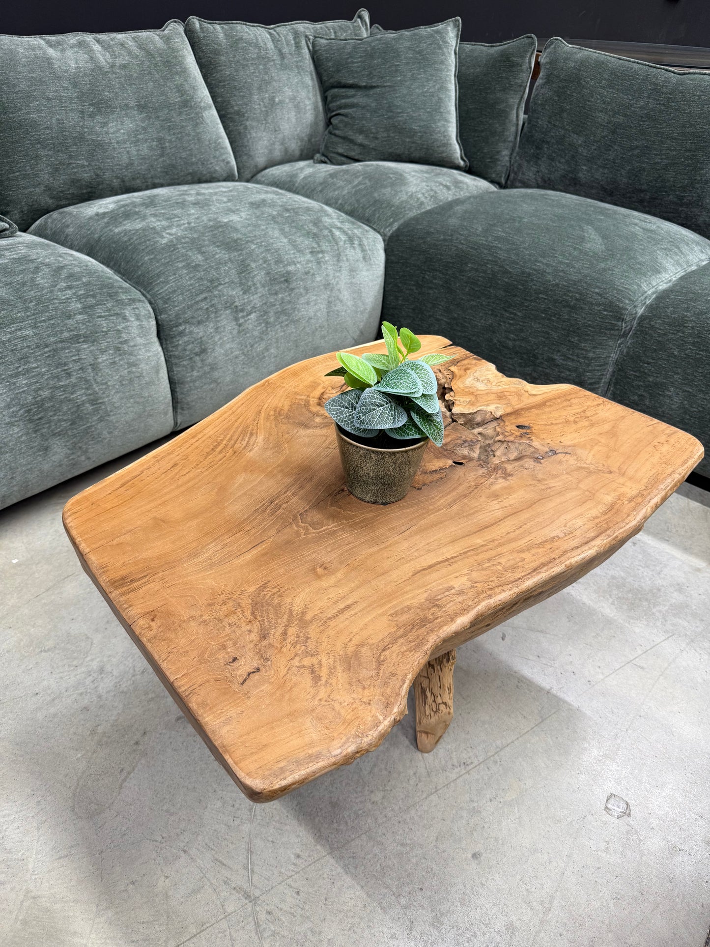 Table Basse en Souche de Bois - Pièce Authentique au Design Naturel