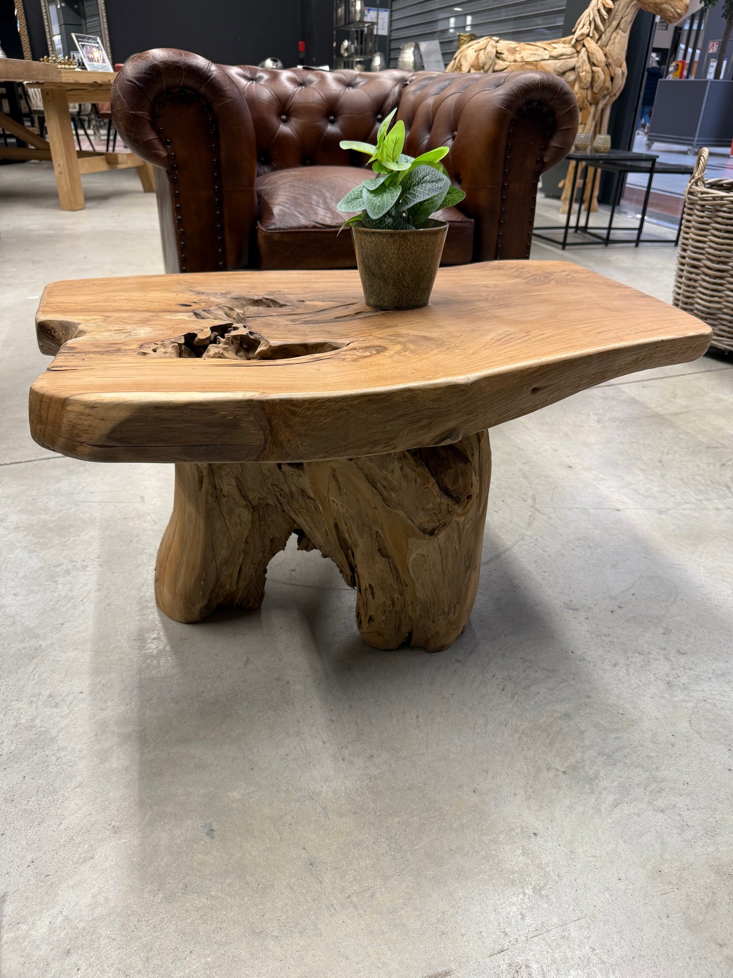 Table Basse en Souche de Bois - Pièce Authentique au Design Naturel