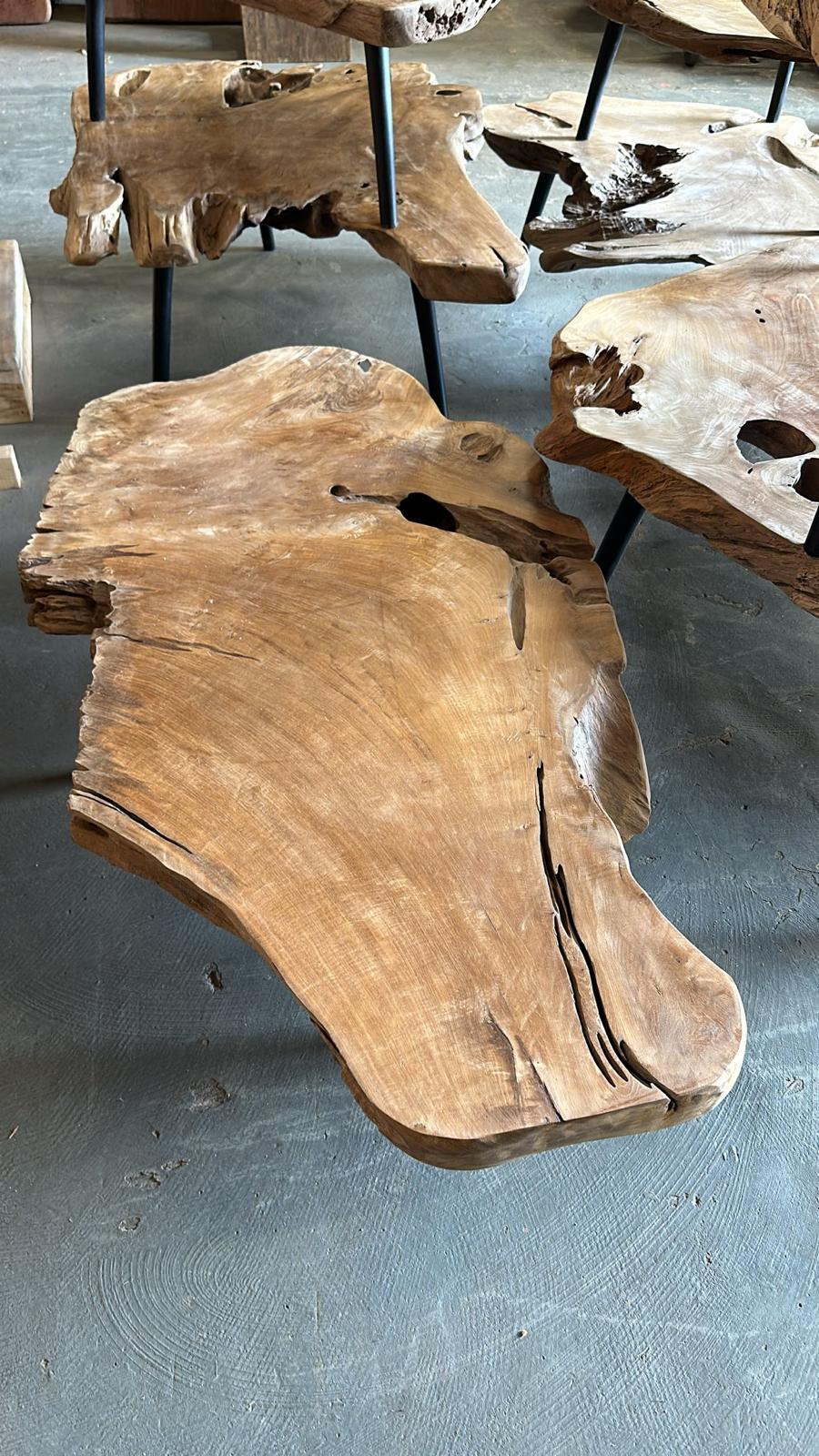 Table Basse en Souche de Bois - Pièce Authentique au Design Naturel