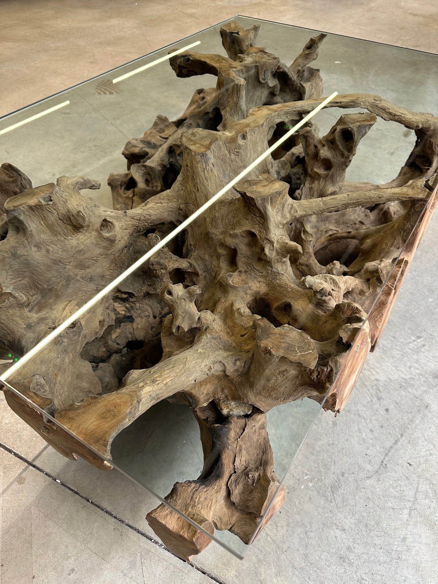 Table Basse Design en Racine de Bois et Plateau Verre
