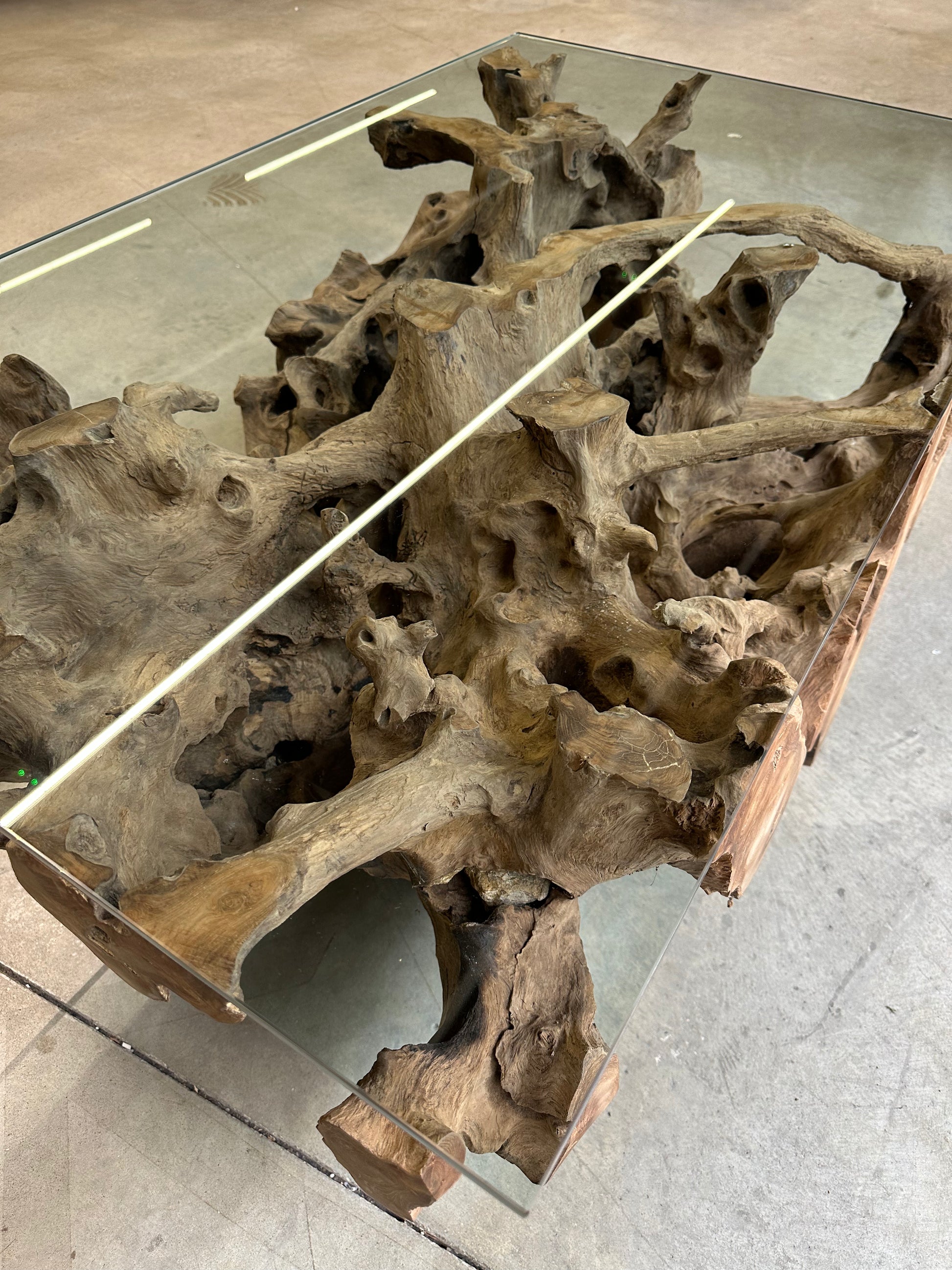 Table Basse Design en Racine de Bois et Plateau Verre