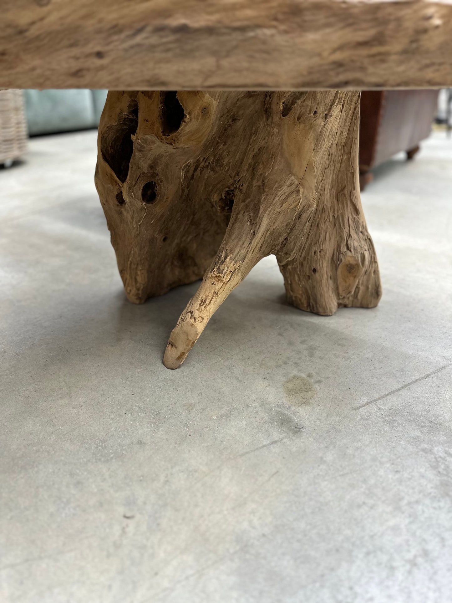 Table Basse en Souche de Bois - Pièce Authentique au Design Naturel