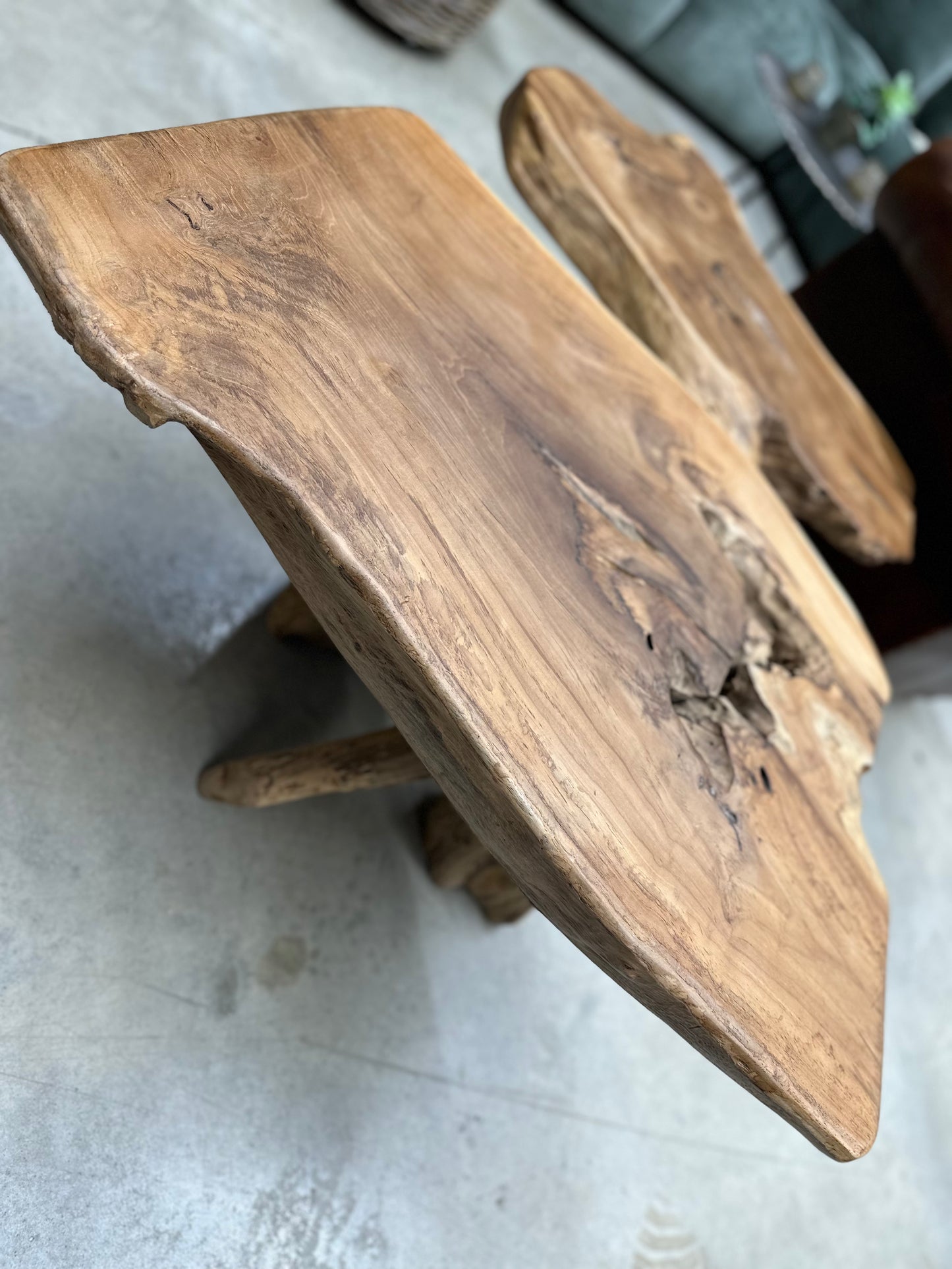 Table Basse en Souche de Bois - Pièce Authentique au Design Naturel