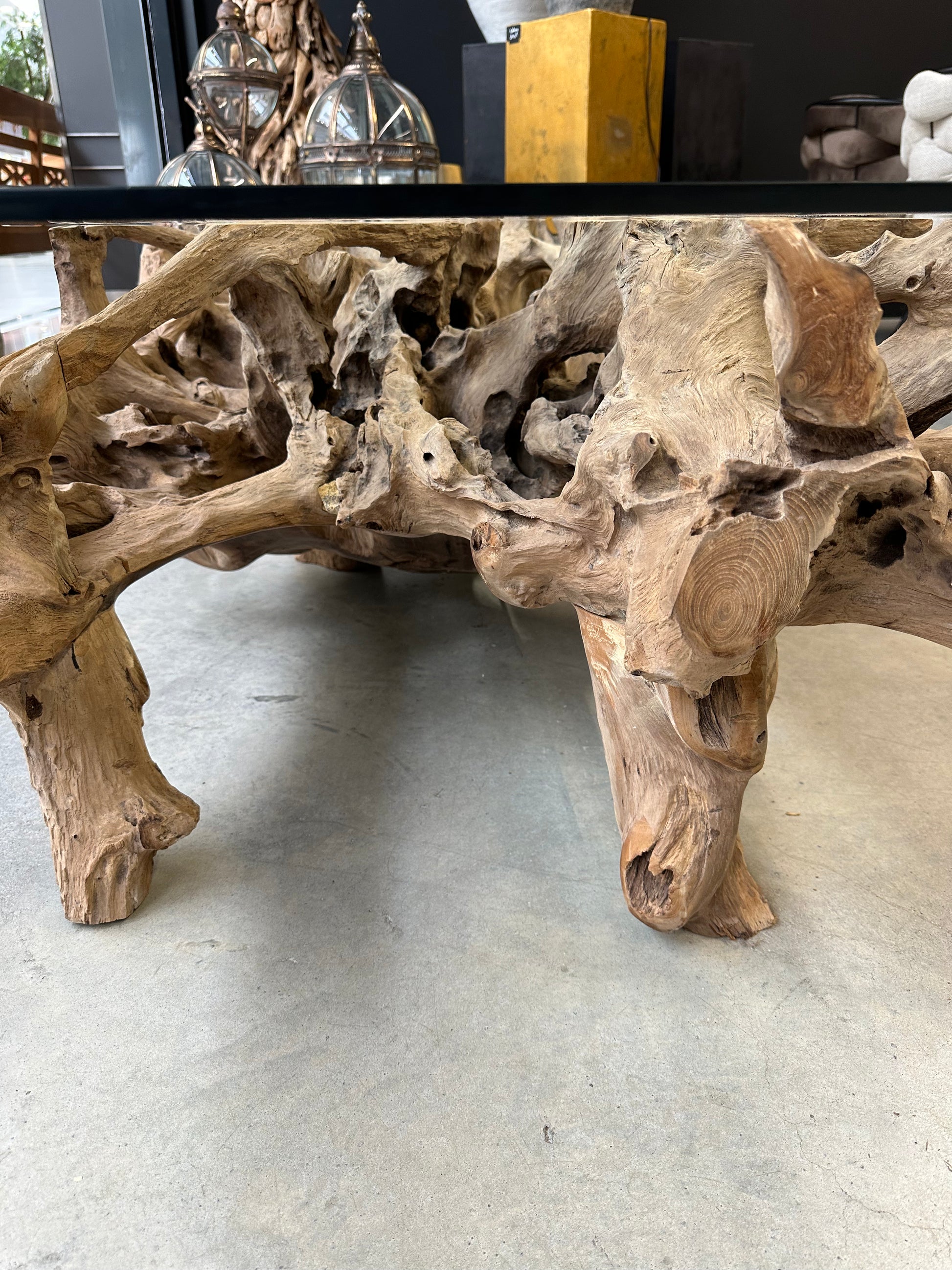 Table Basse Design en Racine de Bois et Plateau Verre