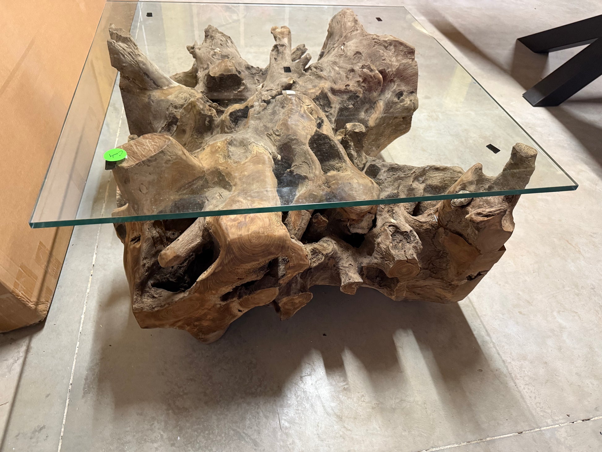 Table Basse Design en Racine de Bois et Plateau Verre