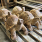Sculpture animale artisanale en bois flotté