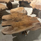 Table Basse en Souche de Bois - Pièce Authentique au Design Naturel