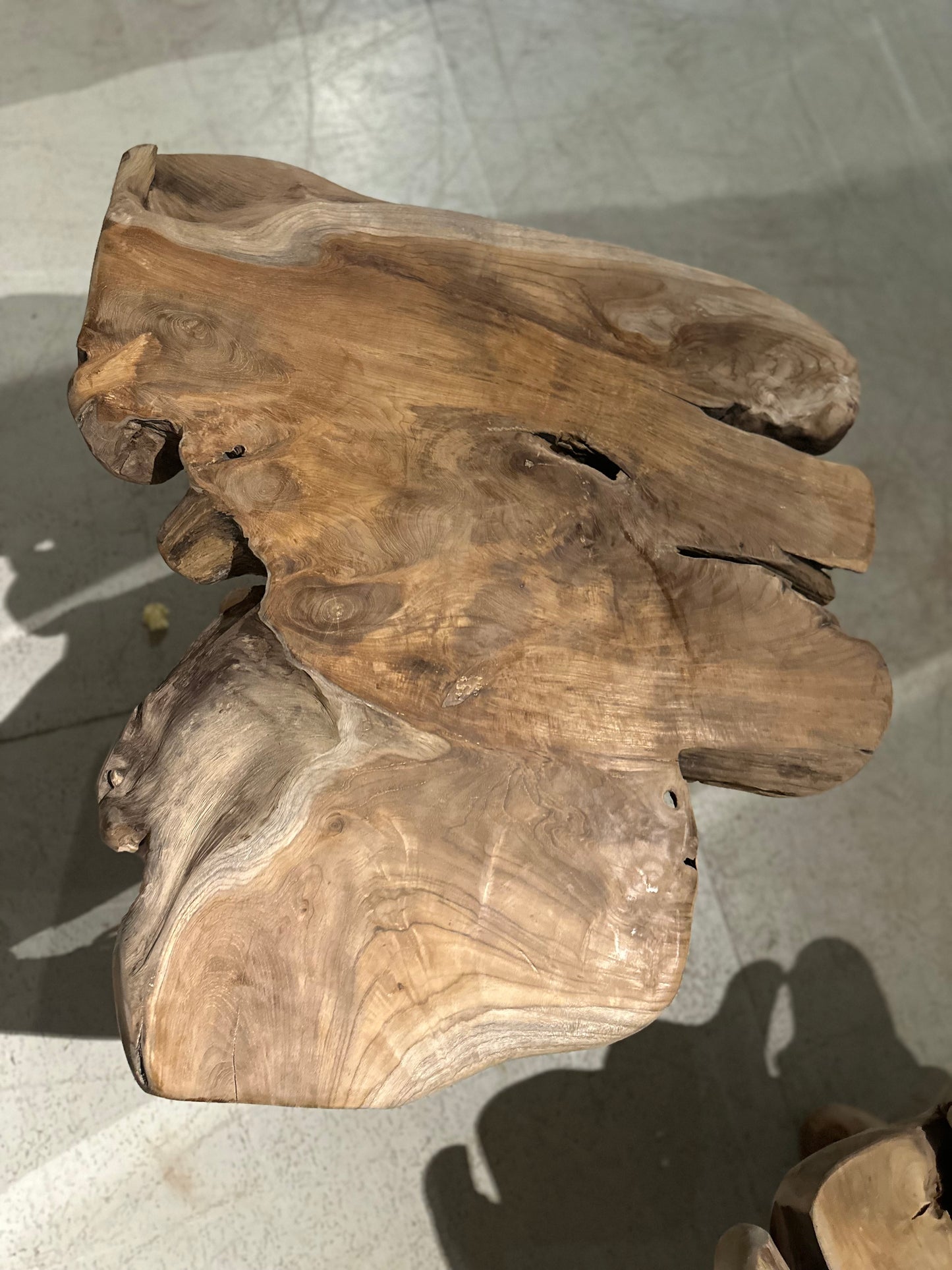 Table Basse en Souche de Bois - Pièce Authentique au Design Naturel