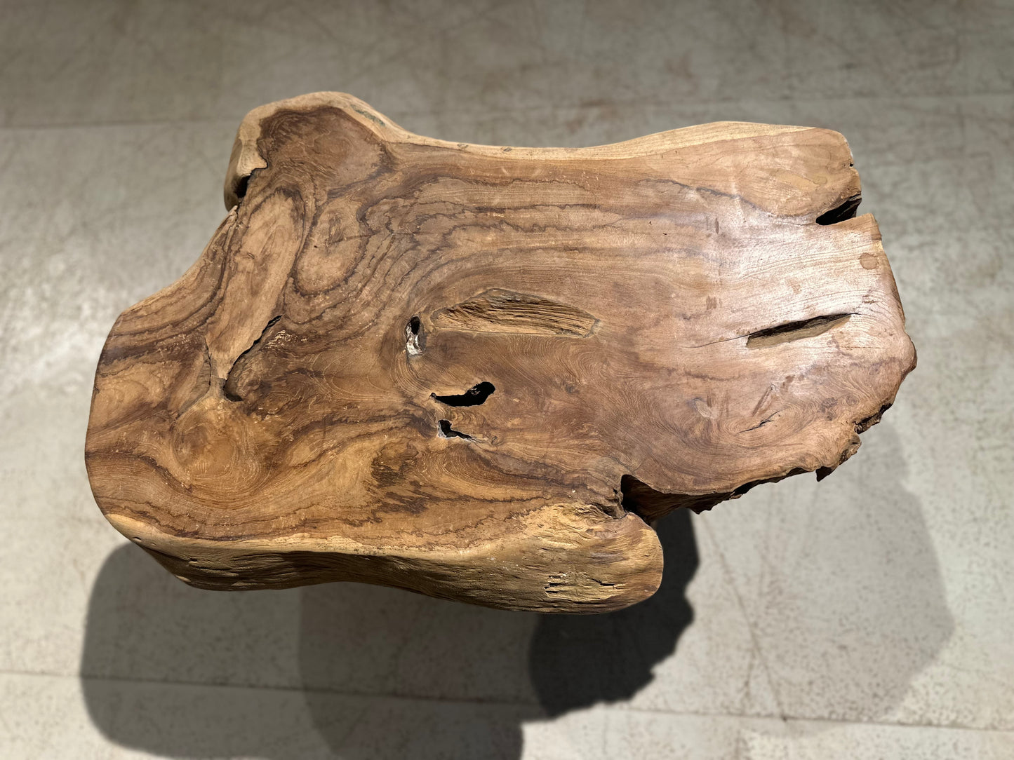 Table Basse en Souche de Bois - Pièce Authentique au Design Naturel