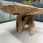 Table Basse en Souche de Bois - Pièce Authentique au Design Naturel