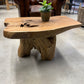 Table Basse en Souche de Bois - Pièce Authentique au Design Naturel
