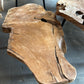 Table Basse en Souche de Bois - Pièce Authentique au Design Naturel